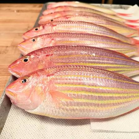 SD Japanese Thread Fn