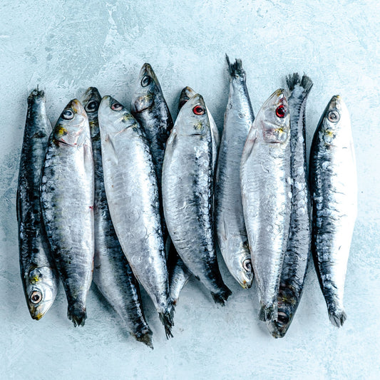 Sardines